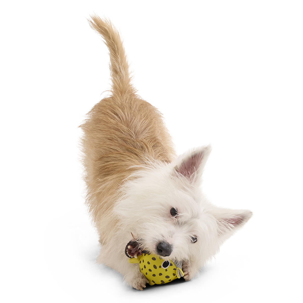 Floating Two-in-One Rubber Core Dog Fetch Toy product image 6