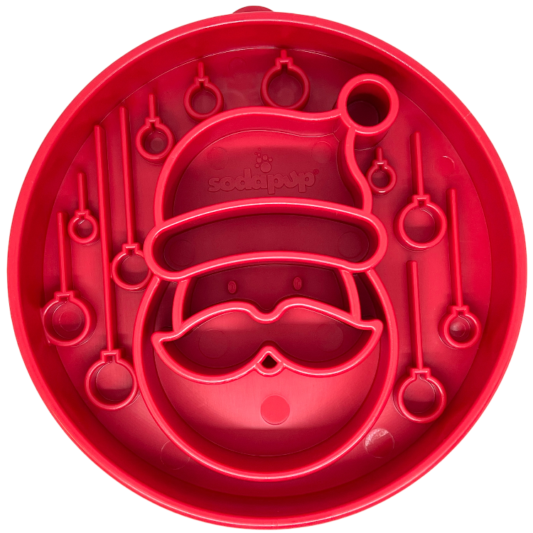 Slow Feeder Bowl product image 1