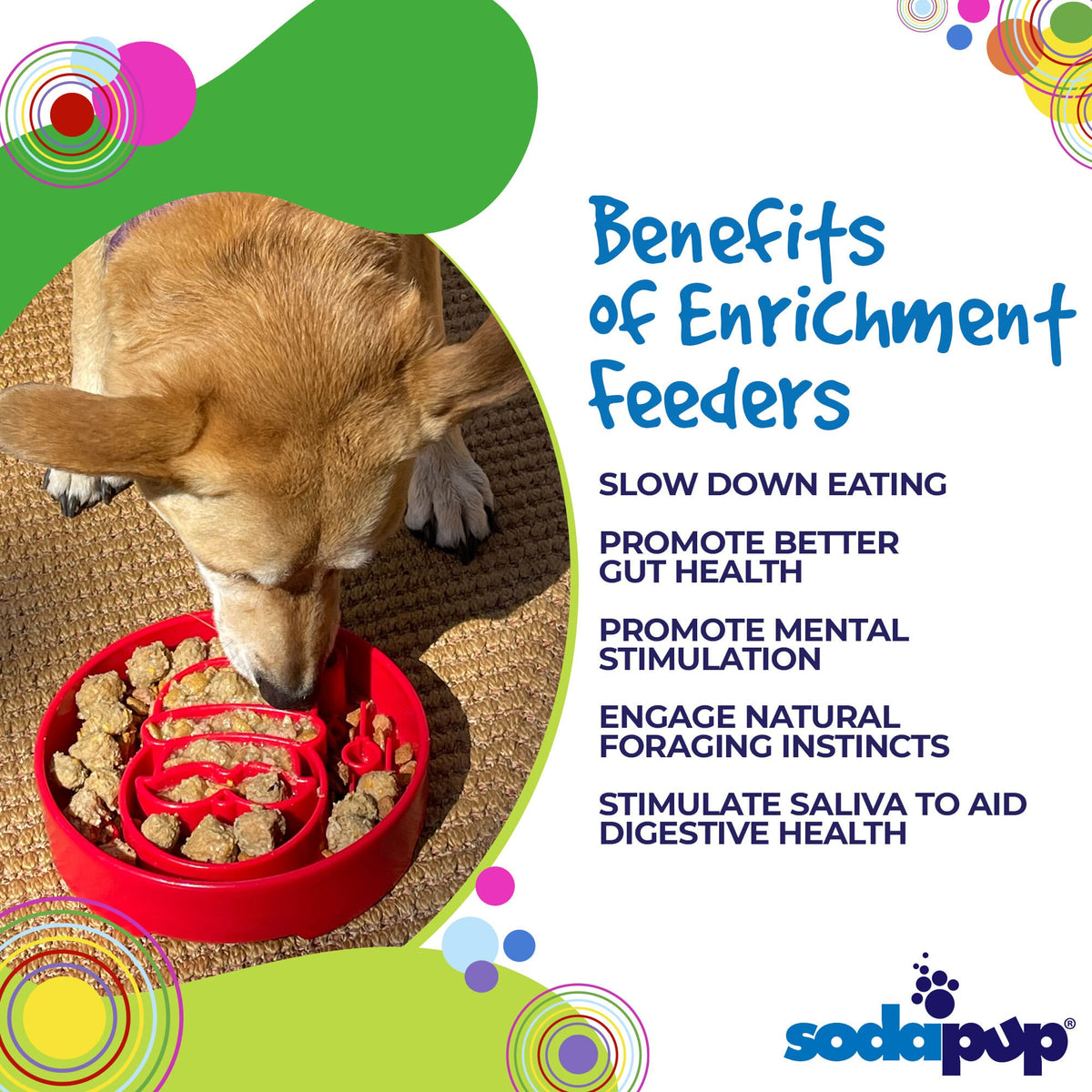 Slow Feeder Bowl product image 4