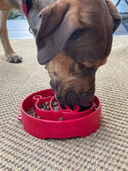 Slow Feeder Bowl product image 7
