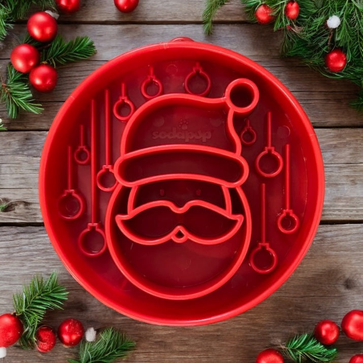 Slow Feeder Bowl product image 9