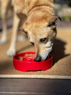 Slow Feeder Bowl product image 10