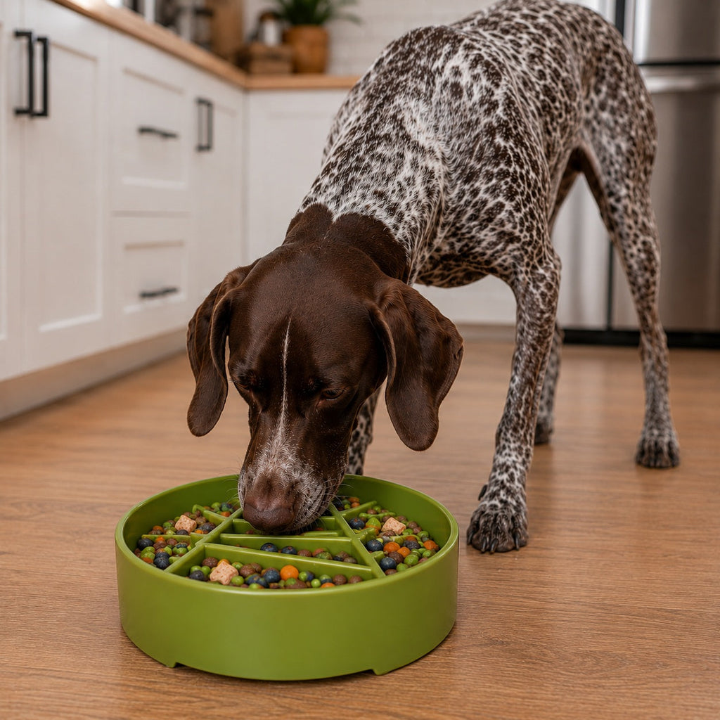 Slow Feeder Bowl product image 3