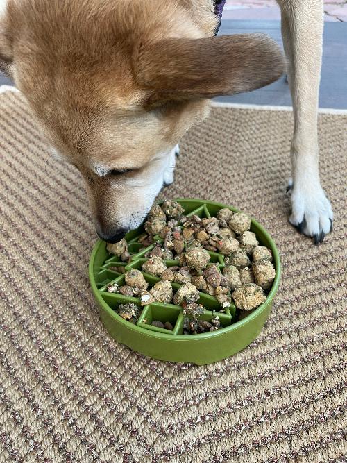 Slow Feeder Bowl product image 10