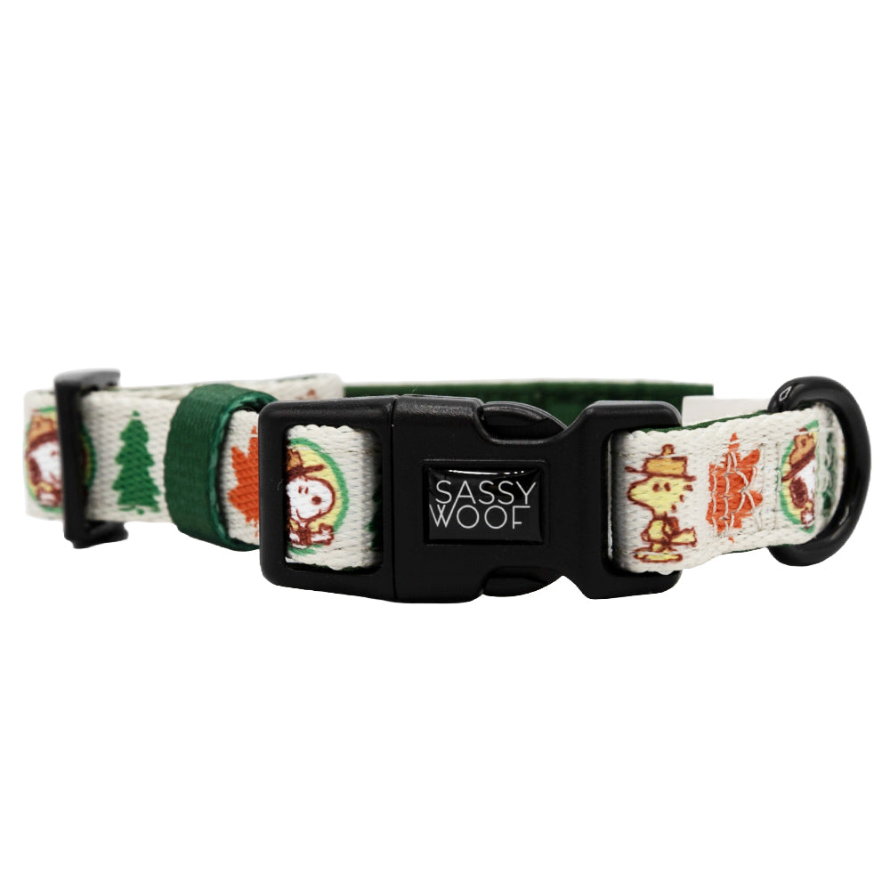 Dog Collar product image 2