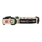Dog Collar product image 3