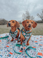 Dog Collar product image 8