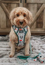 Dog Collar product image 11