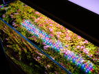 Aquarium LED Light product image 18