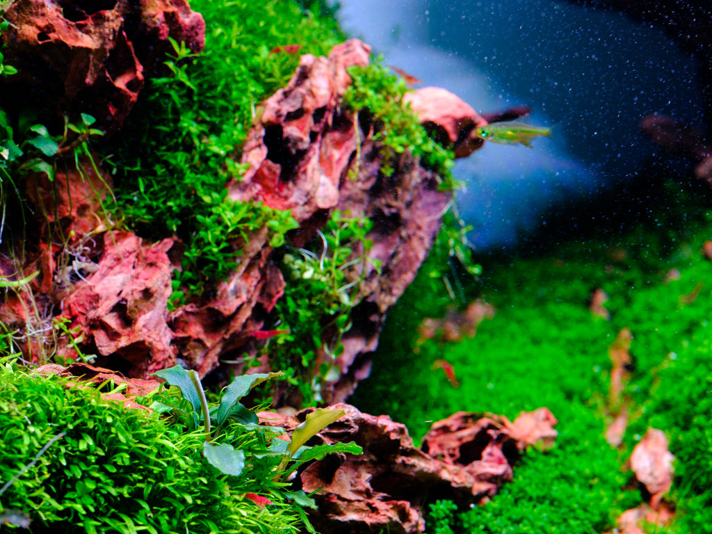 Aquarium LED Light product image 21