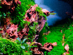 Aquarium LED Light product image 21