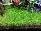 Aquarium LED Light product image 17