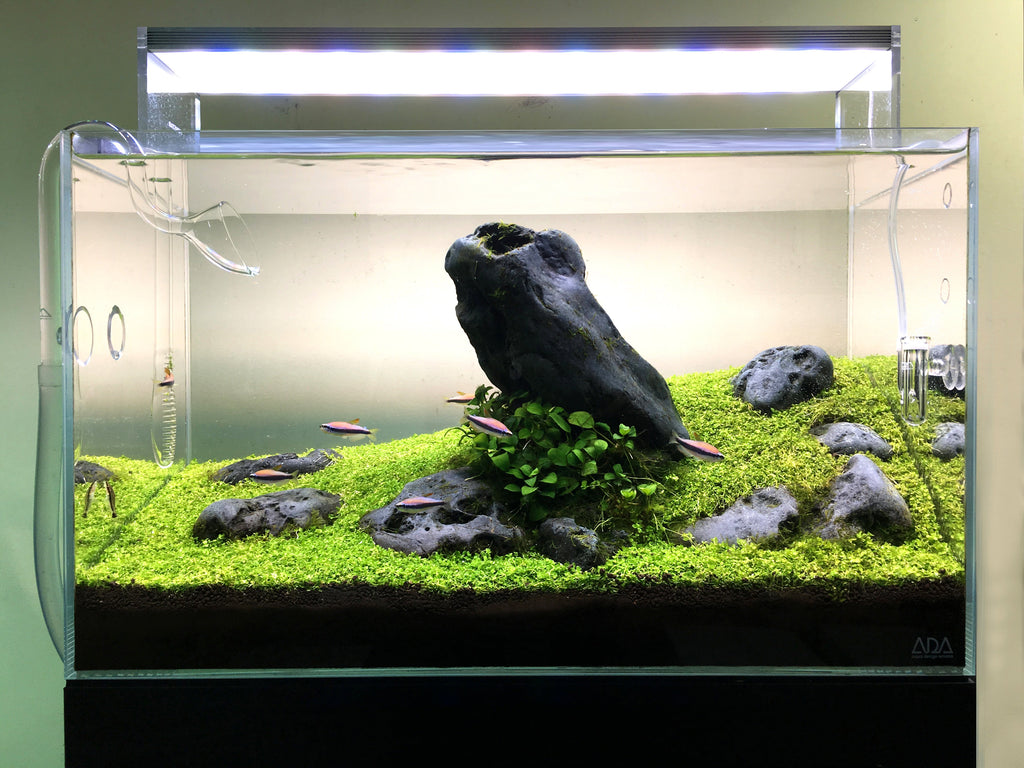 Aquarium LED Light product image 19
