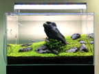Aquarium LED Light product image 19