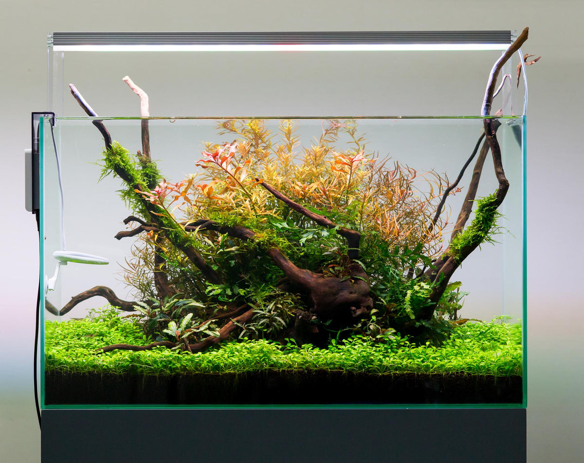 Aquarium LED Light product image 20
