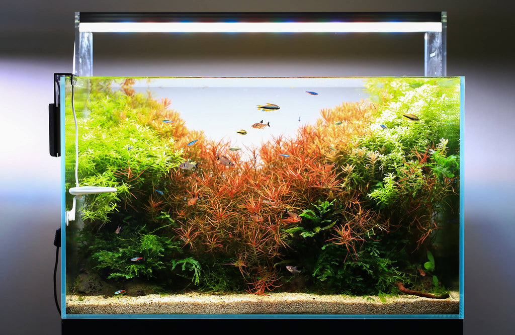 Aquarium LED Light product image 21