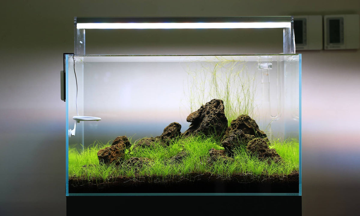 Aquarium LED Light product image 22