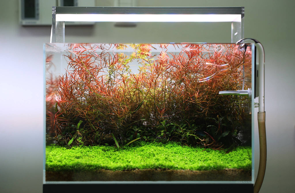 Aquarium LED Light product image 24