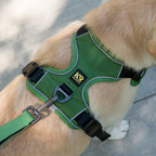 Dog Harness product image 1