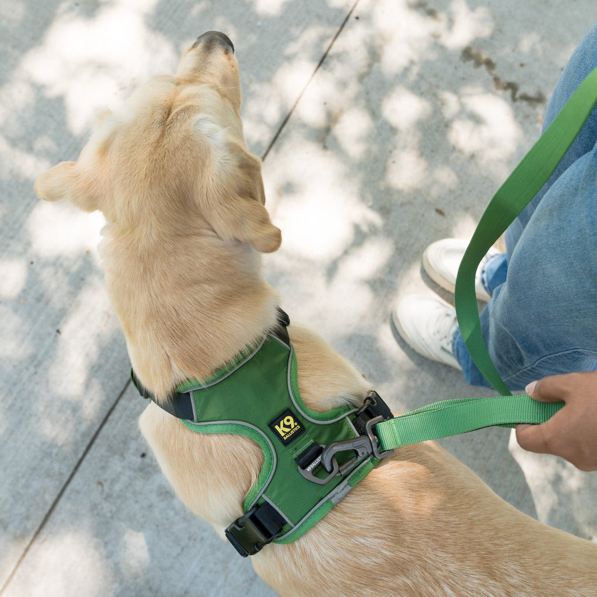 Dog Harness product image 3