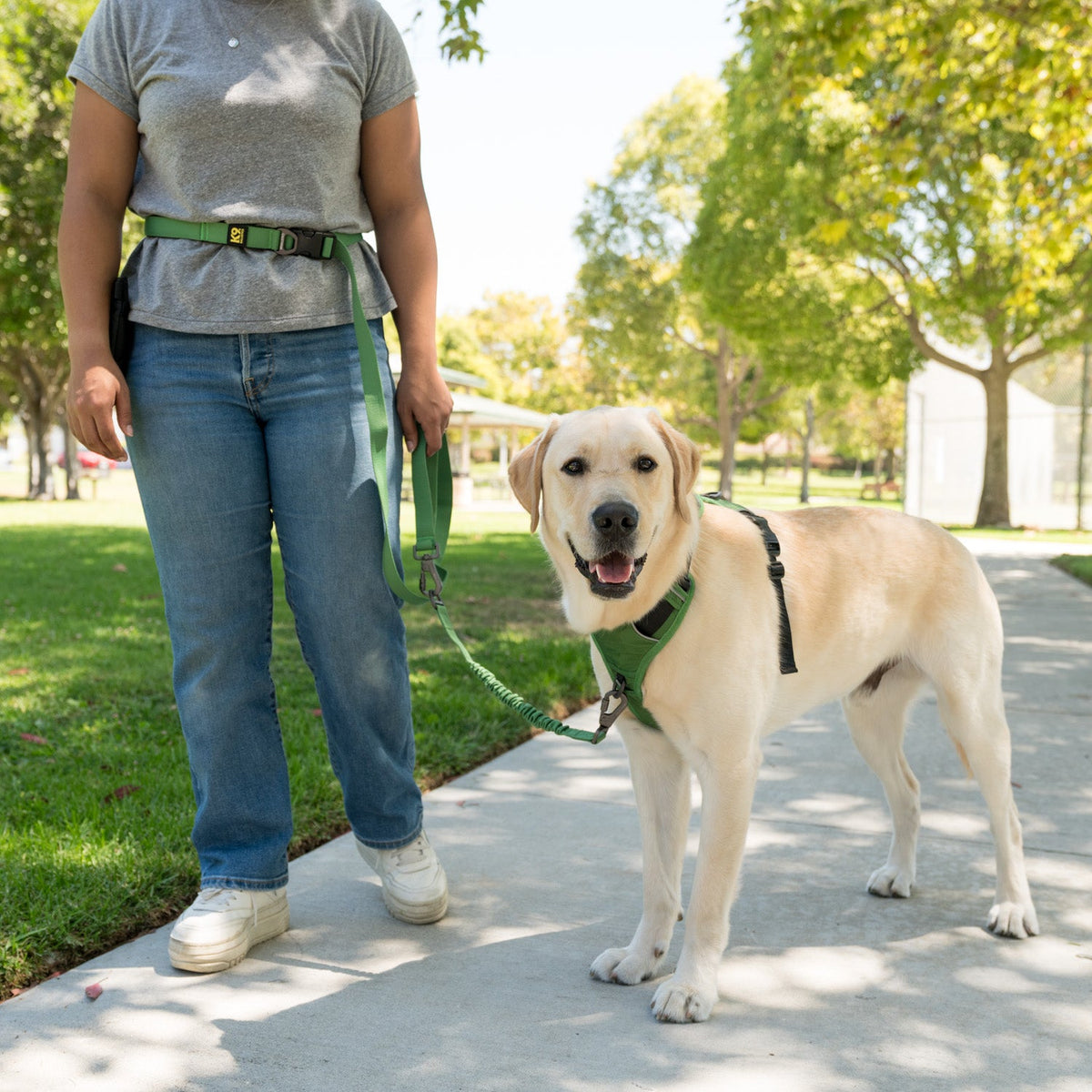 Dog Harness product image 4