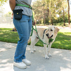 Dog Harness product image 5
