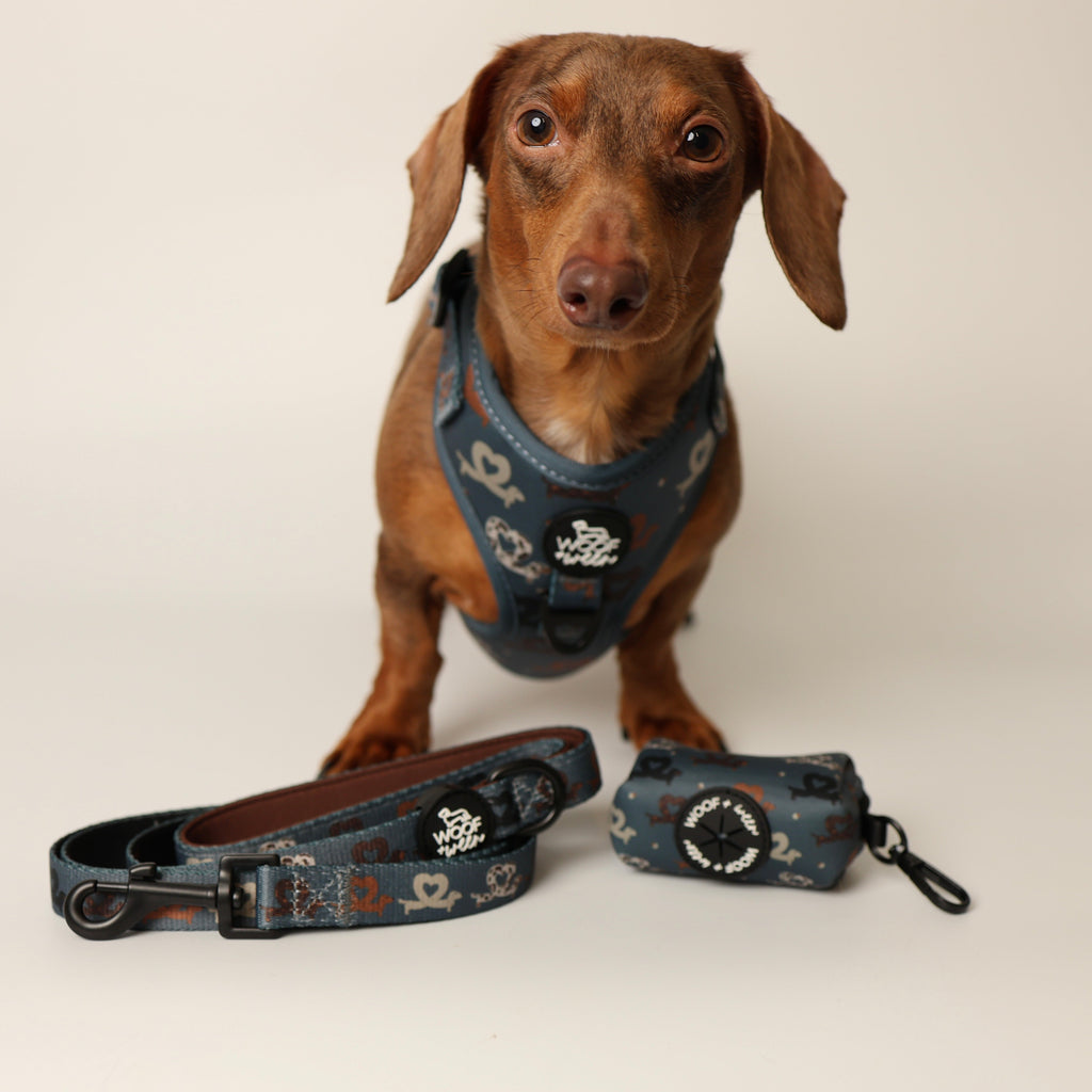Dachshund Harness product image 4