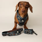 Dachshund Harness product image 4