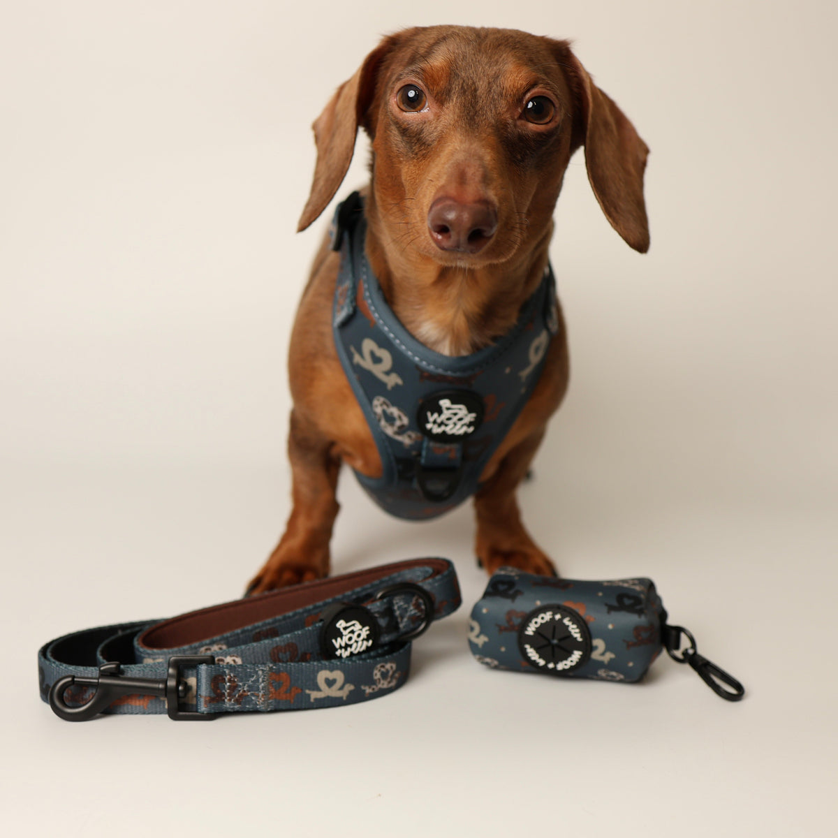 Dachshund Harness product image 4
