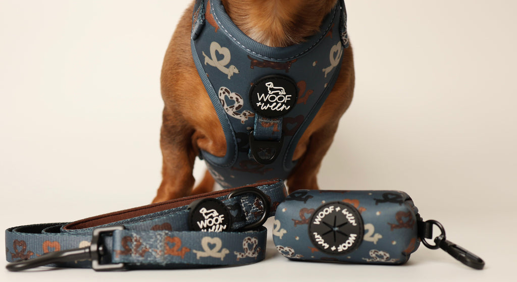 Dachshund Harness product image 9