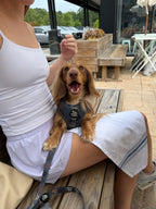 Dachshund Harness product image 11