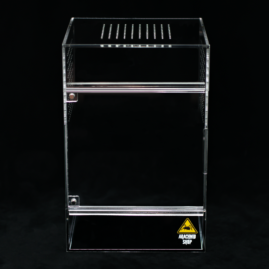 Arboreal Terrarium product image 1