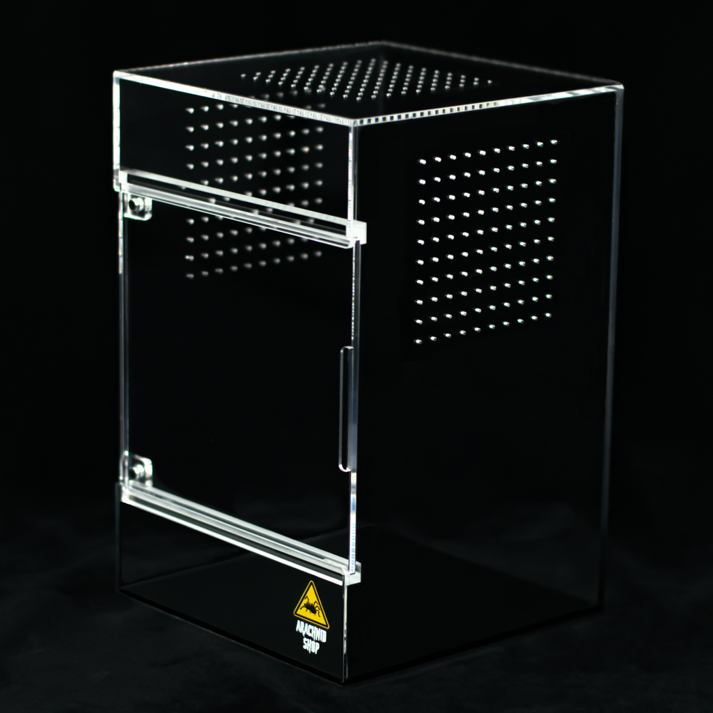 Arboreal Terrarium product image 2