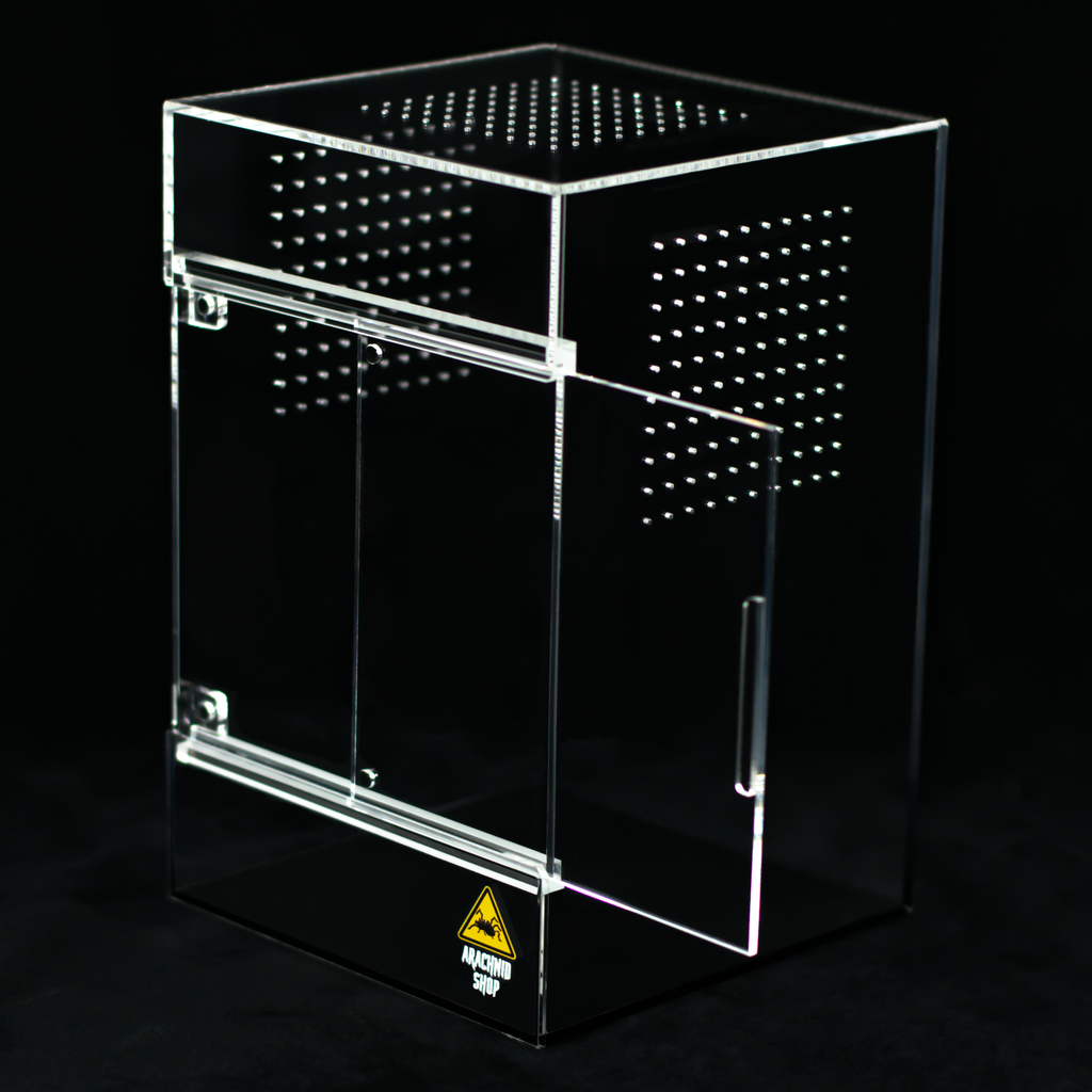 Arboreal Terrarium product image 3