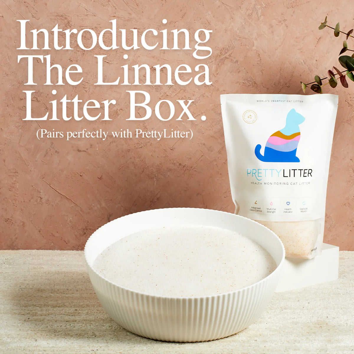 Open Top High Wall Cat Litter Box product image 1