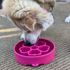 Slow Feeder Dog Bowl product image 7