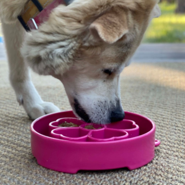 Slow Feeder Dog Bowl product image 10