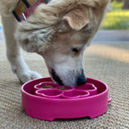 Slow Feeder Dog Bowl product image 10