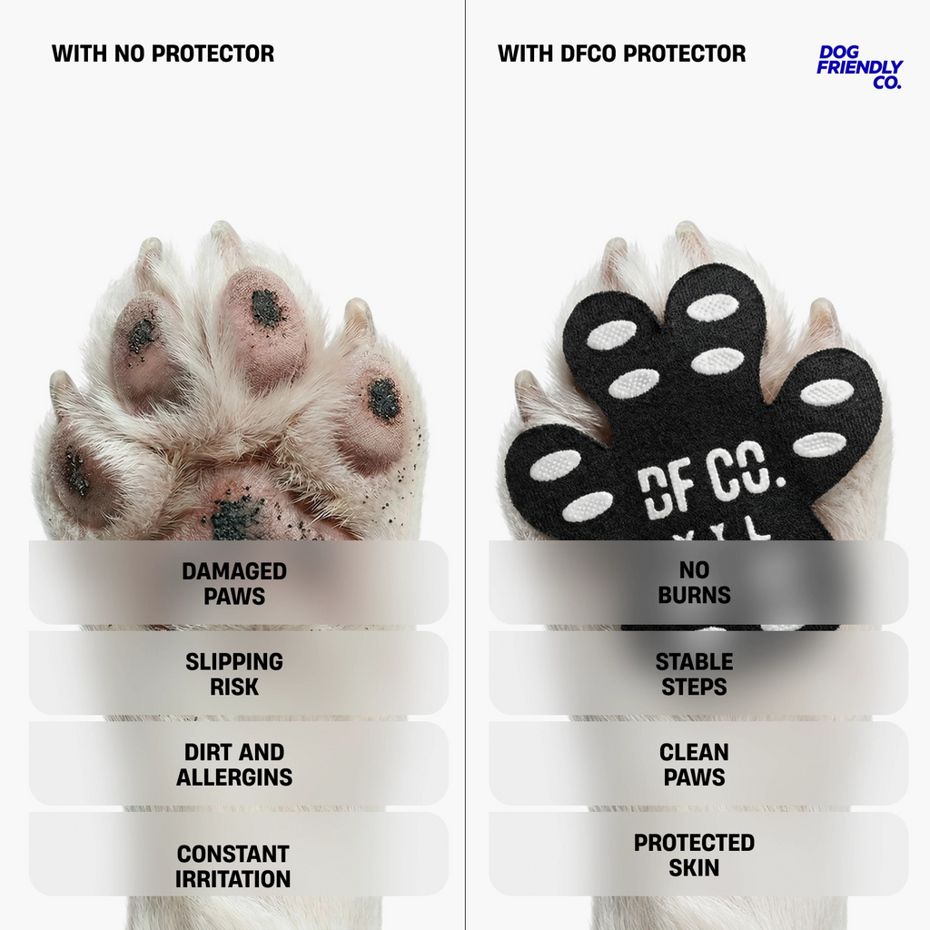 Dog Paw Pad Protectors product image 3