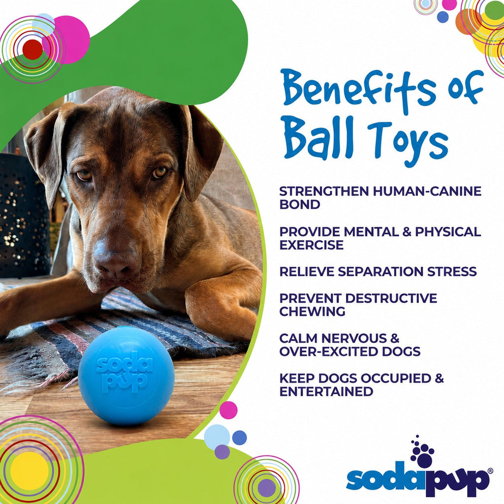 Squeaky Dog Ball product image 6