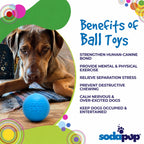 Squeaky Dog Ball product image 6