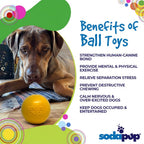 Squeaky Dog Ball product image 7