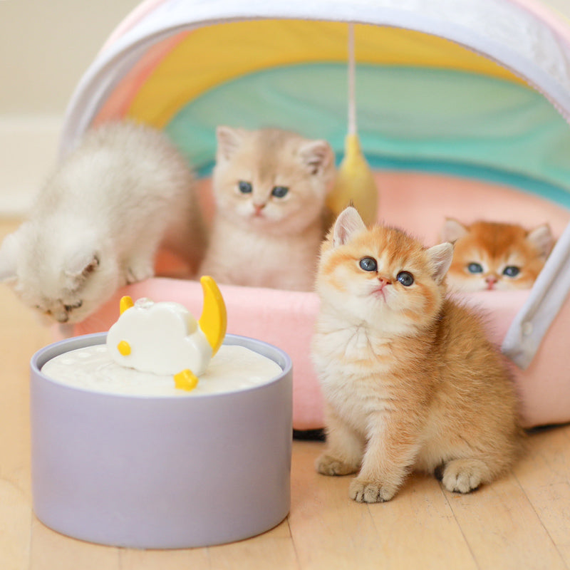 Cat Water Fountain product image 8