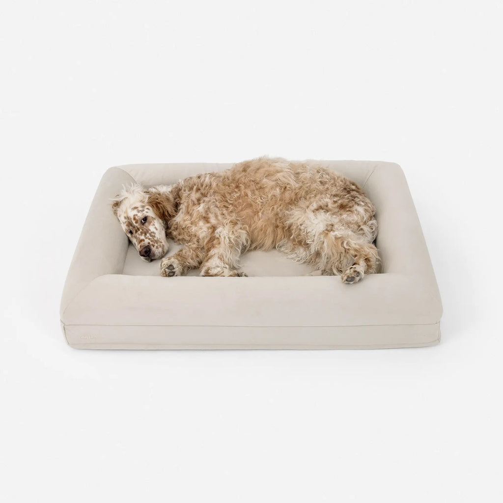 Luxury Microfiber Dog Bed product image 3