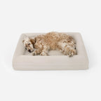 Luxury Microfiber Dog Bed product image 3