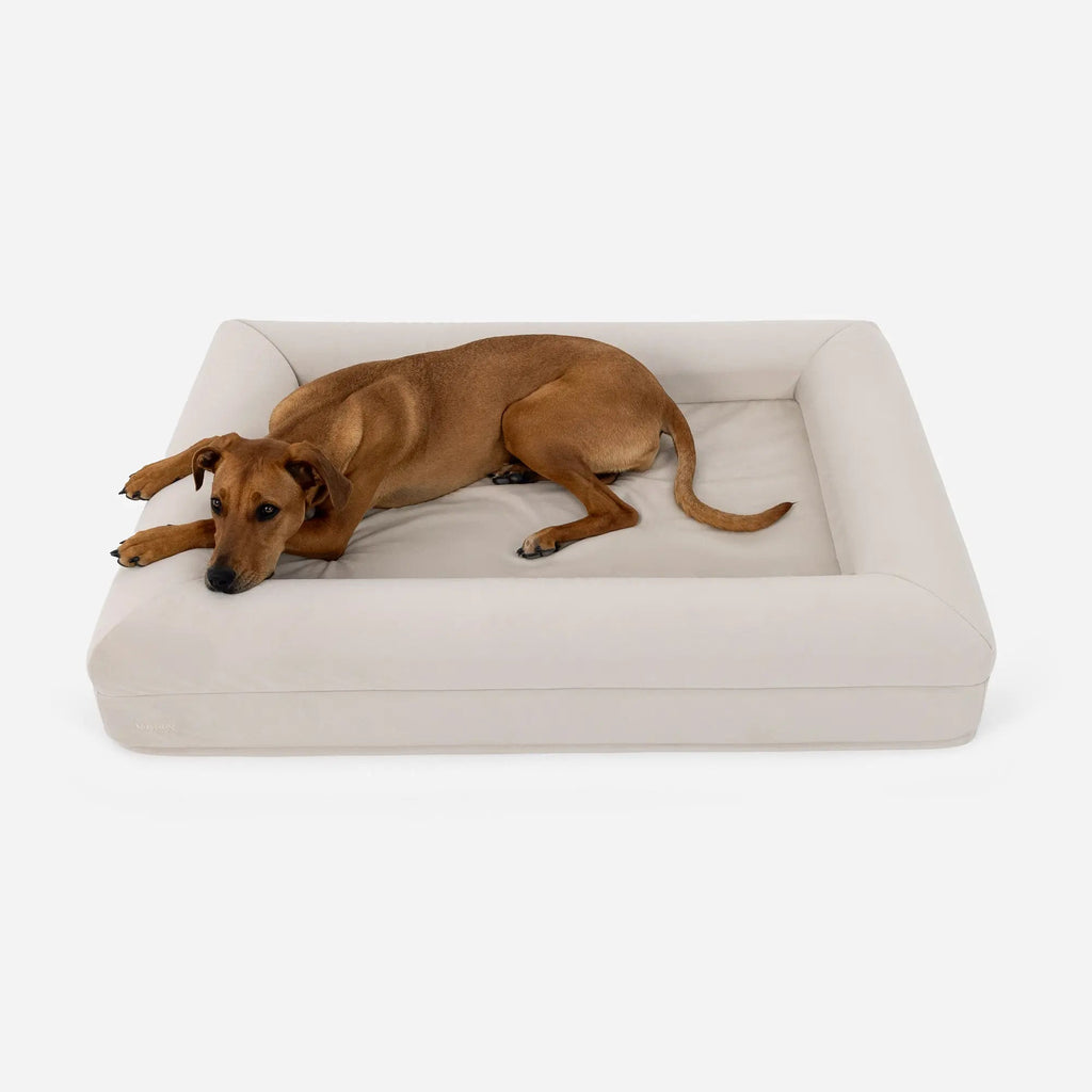 Luxury Microfiber Dog Bed product image 4