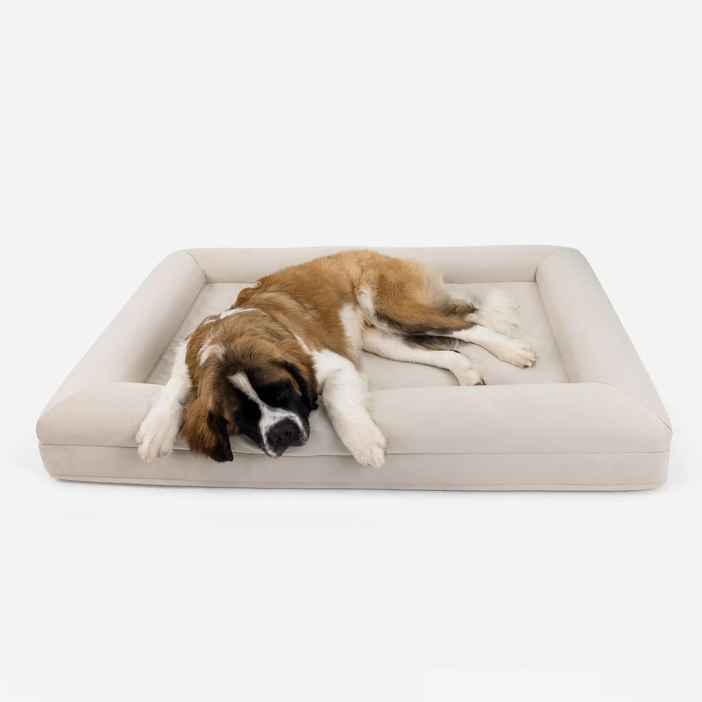 Luxury Microfiber Dog Bed product image 5