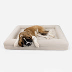Luxury Microfiber Dog Bed product image 5