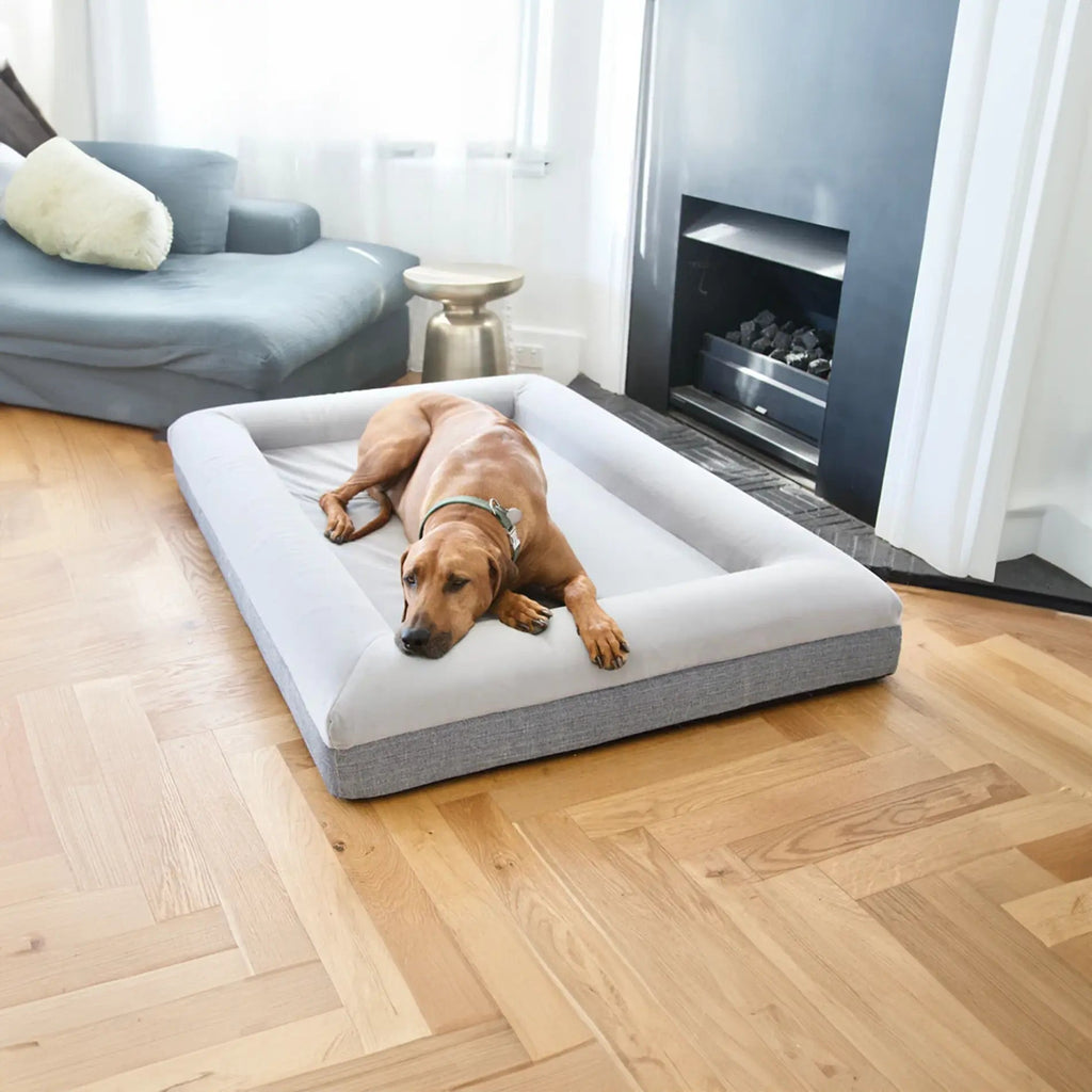 Luxury Microfiber Dog Bed product image 10