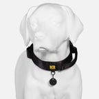 Dog Collar product image 2